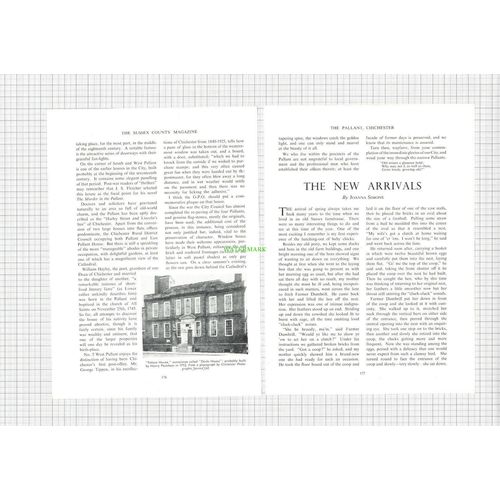 8846) The Pallant Chichester Sussex - 1955 Article