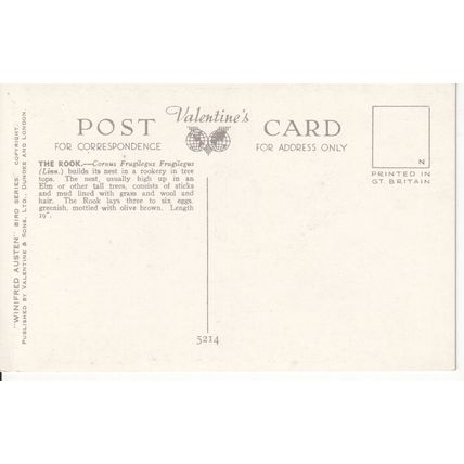 Vintage Valentine's Art Card - Winifred Austen - The Rook