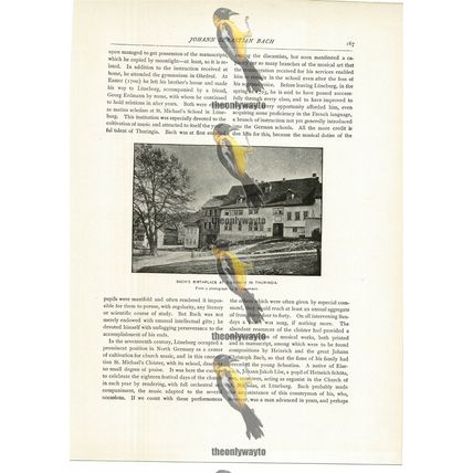 Bach's Birthplace, Eisenach, Thuringia, Book Illustration (Print), c1892