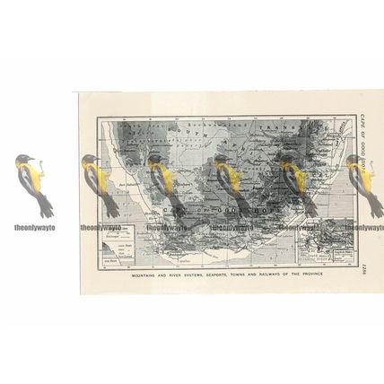 South Africa (Cape of Good Hope), Map, Book Illustration, c1920