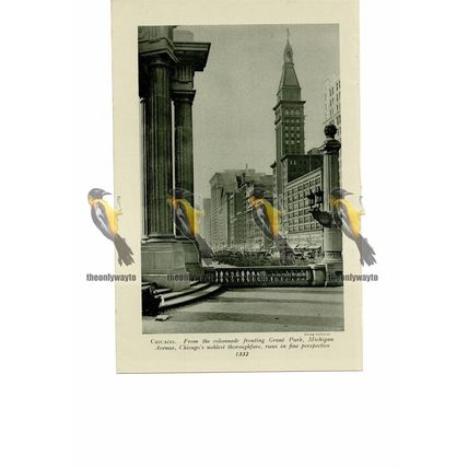 Michigan Avenue, Chicago, USA, Book Illustration, c1920