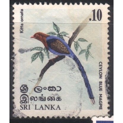 Sri Lanka 1979 - SG684 - 10c multi - Ceylon Blue Magpie - used