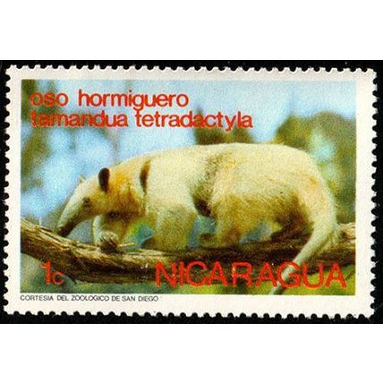 Nicaragua 1974 Wild Animals 1c Used Stamp