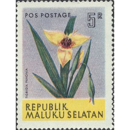 LEBANON, FLOWER, Tigridia Pavonia, lilac 1954, 41mm