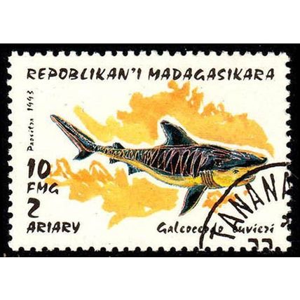 Madagascar 1993 Marine Life 10f Used Stamp Fish Sharks