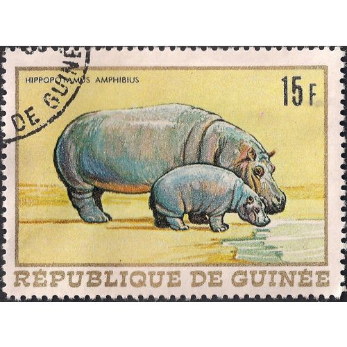 GUINEA, MAMMAL, Hippopotamus, yellow 1968, 15 GFr