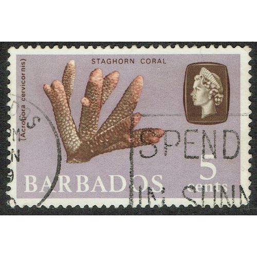Barbados 1966 Marine Life 5c Sepia Rose and Lilac wmk Sideways SG346 FU