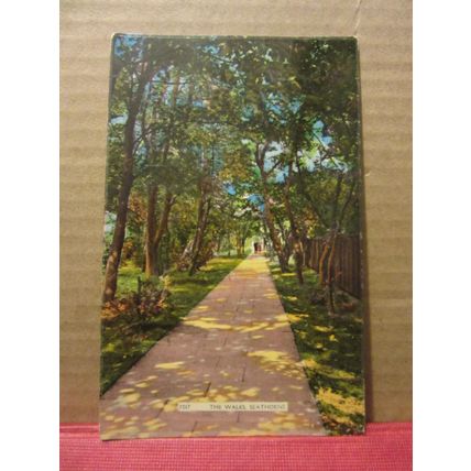 THE WALKS, SEATHORNE, Lincolnshire used postcard 1972 pm =