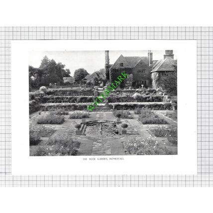 The Rose Garden Homestall Sussex - c.1950s Cutting / Print