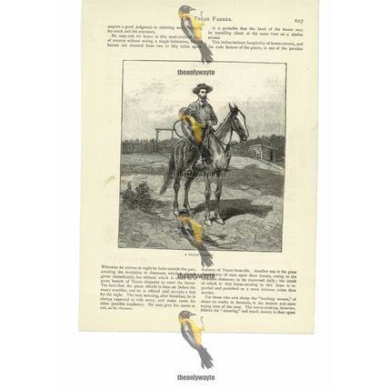 Texan Farmer, Victorian Book Illustration (Print), 1886