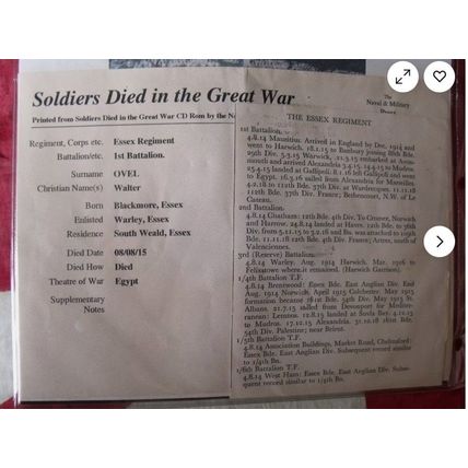 WORLD WAR ONE 1914-15 Star & BRITISH WAR MEDAL Died Egypt 1915 Ovel Essex Reg
