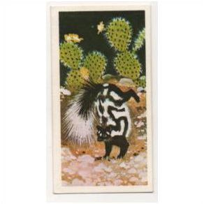 1976 Brooke Bond Tea card Wonders of Wildlife No.32 Chemical Warfare