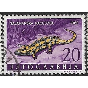 1962 Michel 1008 - fine used (o) - ANIMAL