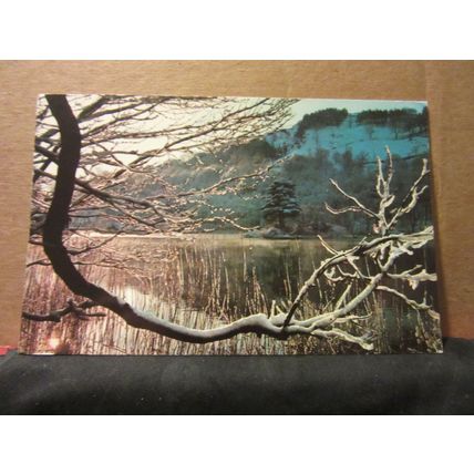 RYDAL WATER, THE LAKE DISTRICT. CUMBRIA unused postcard Colourmaster =