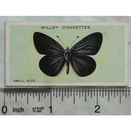 1927 Wills British Butterflies No. 11 Small Blue