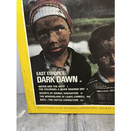 National Geographic Magazine June 1991 Europe’s Dark Dawn Vintage Collectable