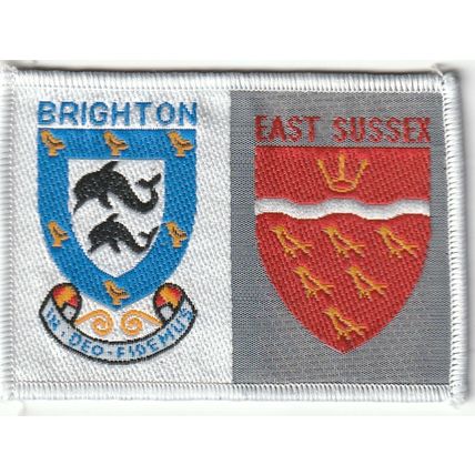 Scout Double Badge UK East Sussex/Brighton - Black Back - Used (M149)