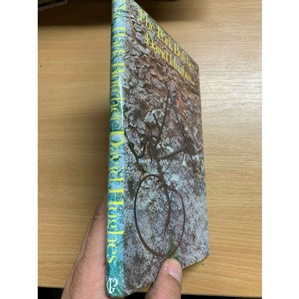 1985 DAVID HUGHES "THE PORK BUTCHER" FICTION HARDBACK BOOK (P4)