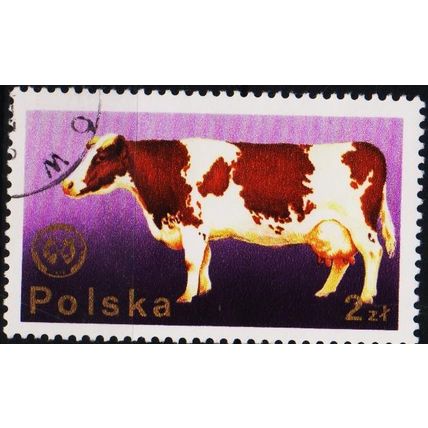 Poland. 1975 2z S.G.2368 Used
