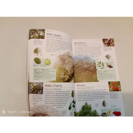 WILDLIFE OF BRITAIN POCKET NATURE BOOK. USED