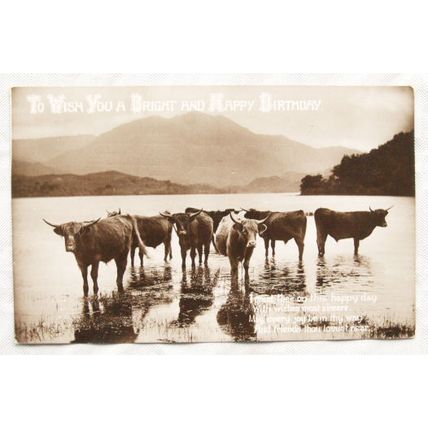 1911 Greetings postcard - Bright & Happy Birthday