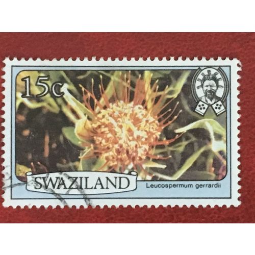 Swaziland QEII 1980 Flowers 15c Leucospermum gerrardii Used SG 348A Sc 354 stamp