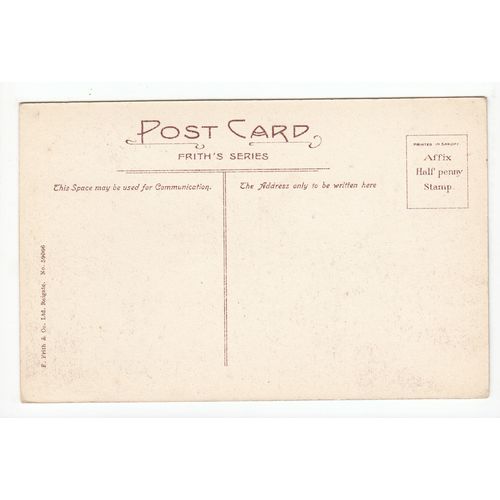 Cranham Woods Gloucestershire Postcard 59066