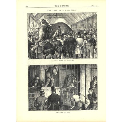 SALE OF A MENAGERIE - ELEPHANTS - LIONS 1872 VICTORIAN ENGRAVINGS