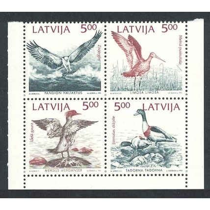 Latvia Osprey Godwit Shelducks Birds of the Baltic 1992 MNH SG#359-362