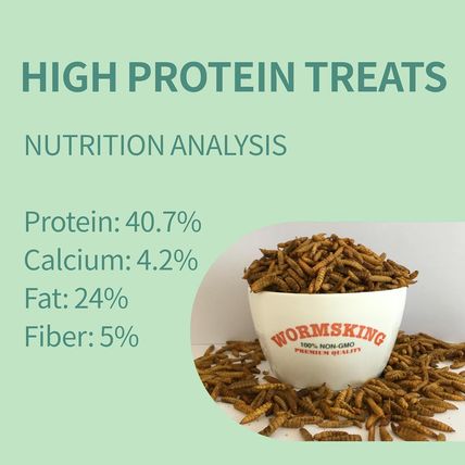 10LB Dried Black Soldier Fly Larvae, More Calcium than Dried Mealworms, High Pro