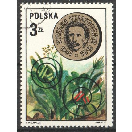 POLAND 1973 - Botany - Flora - Fauna - Botanist - Plants - Science - Medal - CTO