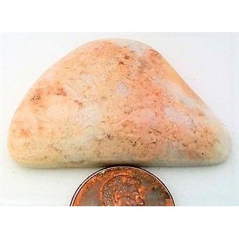 Fossil Crinoid Chalcedony Freeform Gemstone Cabochon 10