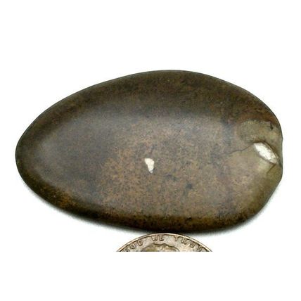 Picture Jasper Freeform Gemstone Cabochon 464