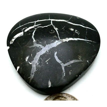 Black Septarian Freeform Gemstone Cabochon 477