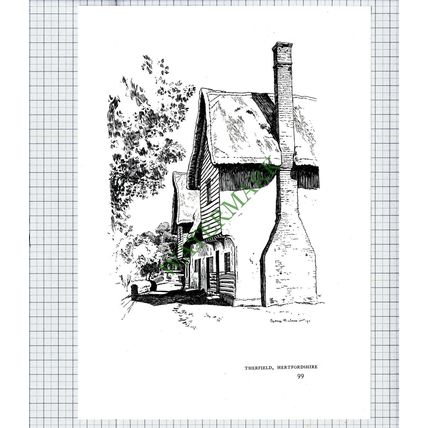9509) Therfield Hertfordshire - 1980s Print / Cutting