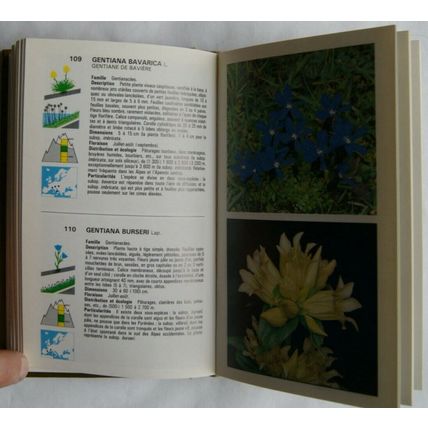 1984 les plantes et fleurs de montagne