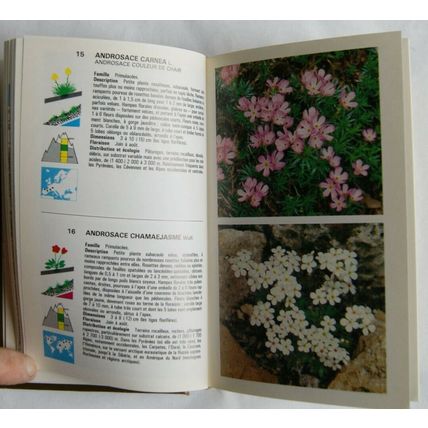 1984 les plantes et fleurs de montagne