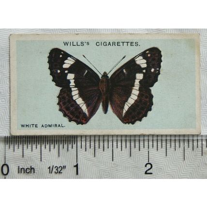 1927 Wills British Butterflies No. 2 White Admiral