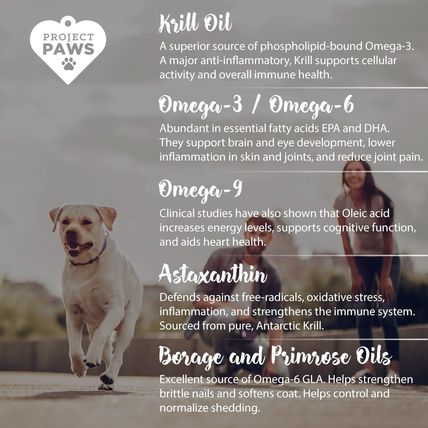 NEW! (60) Omega 3-6-9 Select Fish Oil for Dogs - Krill Oil Skin & Coat Softchews