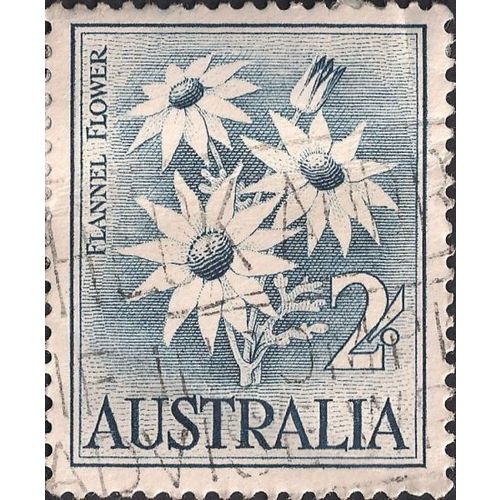AUSTRALIA, FLOWERS, Flannel Flower, blue 1959, 2/-