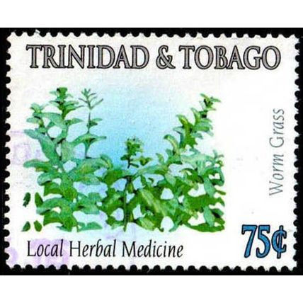 Trinidad & Tobago 2005 Medicinal Plants 75c Used Stamp