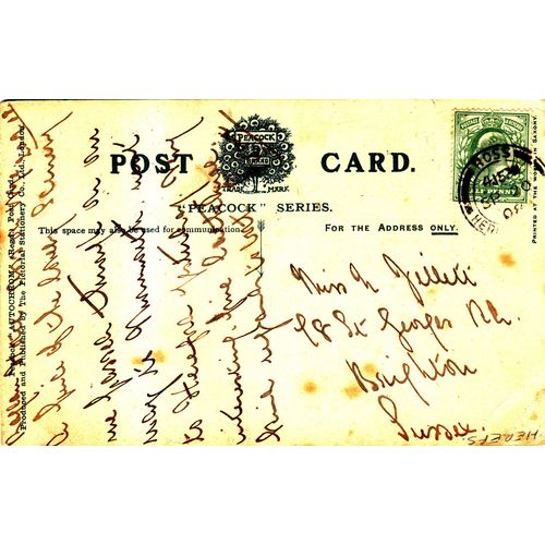 Vintage Colour Postcard - Symonds Yat, Herefordshire - Peacock
