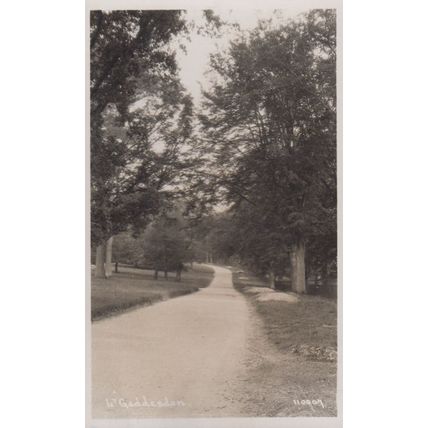 Little Gaddesden Woodland Path Hertfordshire Village Antique Real Photo Postcard