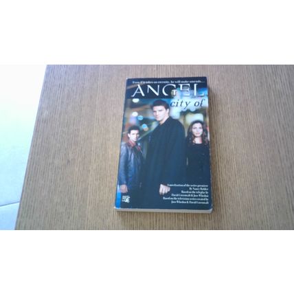 Angel: City Of. Nancy Holder (TV Tie-In Paperback) Pocket Books (December 1999)