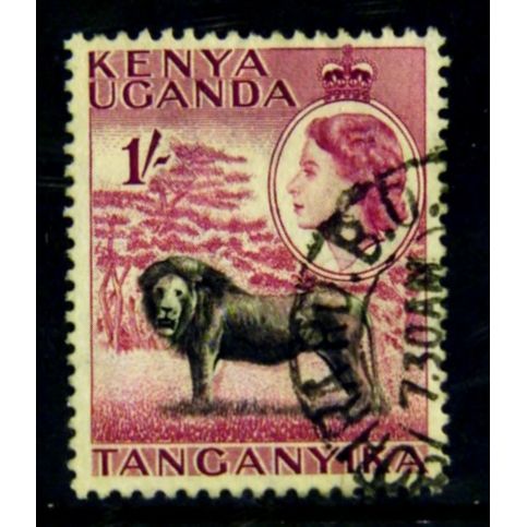 KENYA UGANDA TANGANYIKA 1954 SG 175 1s LION FINE USED