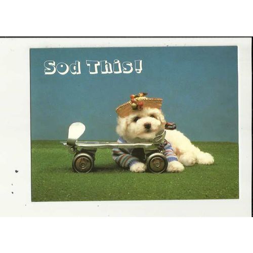 ANIMAL TALES IV (Michael Newler) Athena Postcard (9578)