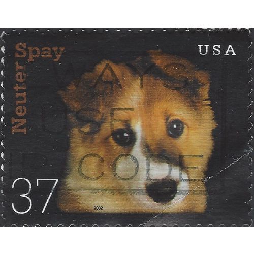 USA, DOG, Neuter Spay, black 2002, 37c
