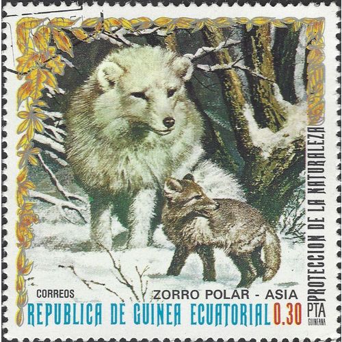 EQUATORIAL GUINEA, MAMMAL, Arctic Fox, white & brown 1976, 0.30pta