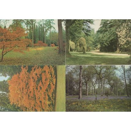 Westonbirt Arboretum 4x Beautiful Gloucester Postcard s