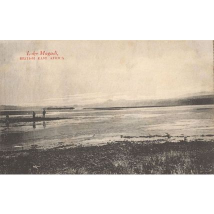 Lake Magadi Kenya Antique African Postcard